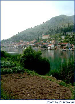 red roofed village near the water