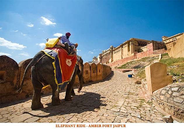 Elephant Ride - Amber Fort Jaipur